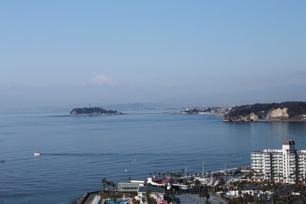 🏞️ 오사키 공원 (오사키 코엔) 이미지 3